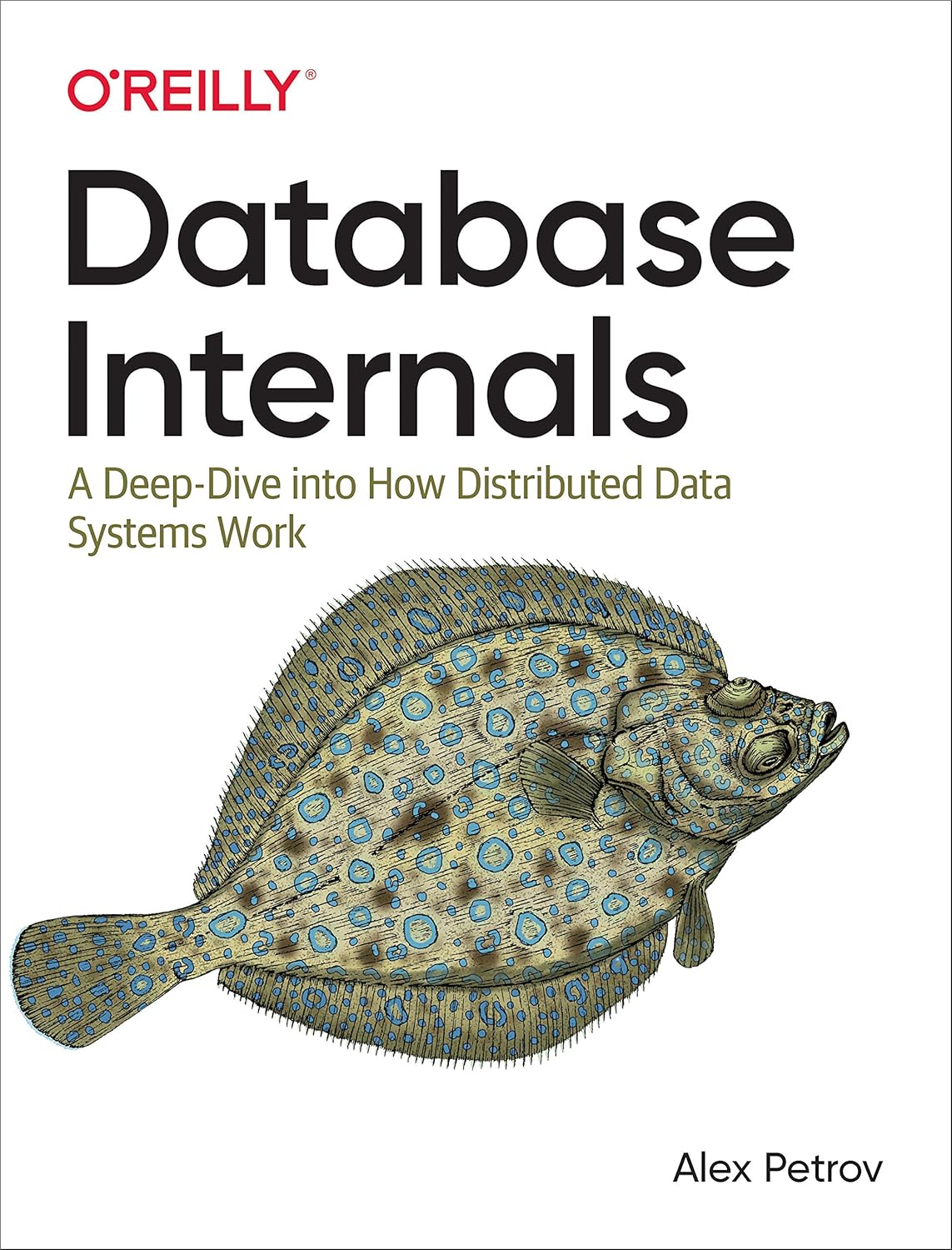 Database Internals A Deep Dive into How Distributed Data Systems Work 1st Edition ISBN 978-1492040347