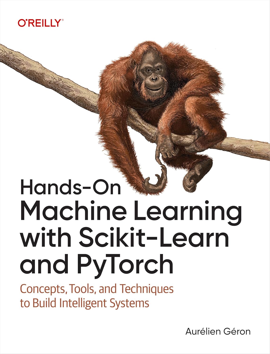 Hands-On Machine Learning with Scikit-Learn and PyTorch: Concepts, Tools, and Techniques to Build Intelligent Systems 1st Edition ISBN: 979-8341607989