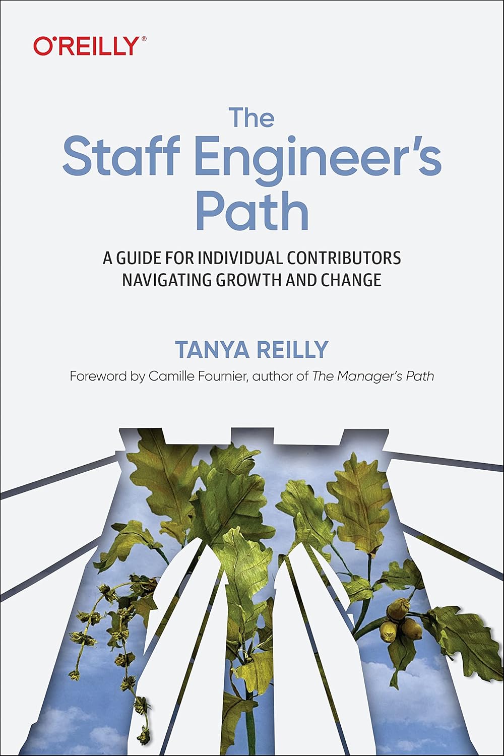The Staff Engineer's Path: A Guide for Individual Contributors Navigating Growth and Change 1st Edition ISBN: 978-1098118730